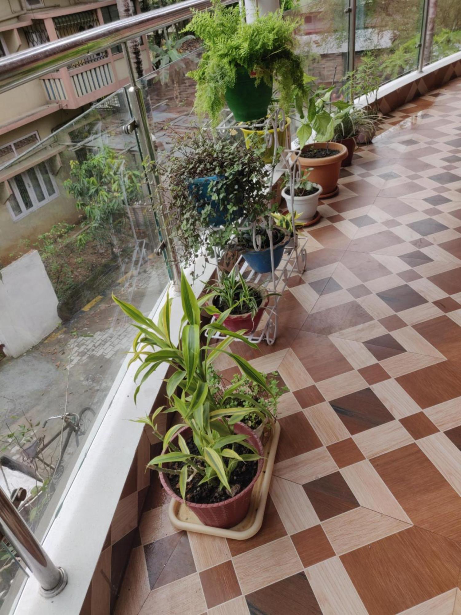 Bandana'S Bed & Breakfast Guwahati Dış mekan fotoğraf